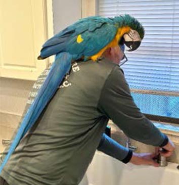 Kurt MacIntyre Plumbing